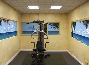 Panoramic trompe l’oeil mural in exercise room