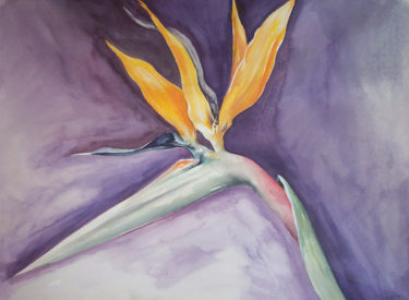 A Tropical Beauty – 30″x22″ –  Watercolor
