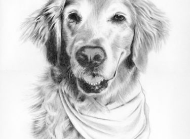 Maggie – Graphite Pencil