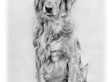 Bonnie – Pencil