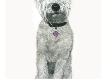 Zoe – Graphite and Pencil