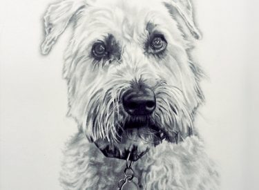 Brodie – Graphite Pencil