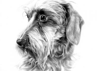 Yosemite – Graphite Pencil