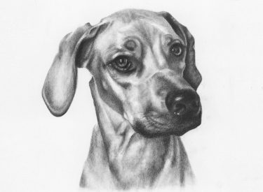 Luna – Graphite Pencil
