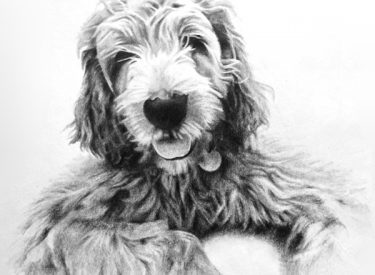 Tucker