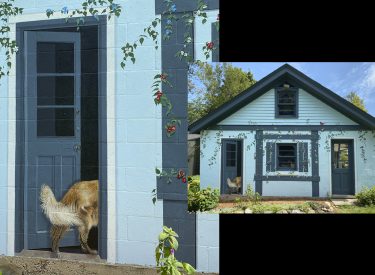 Outdoor Mural Surrounding Garage