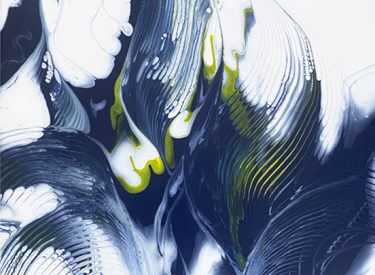 Fluid Acrylic